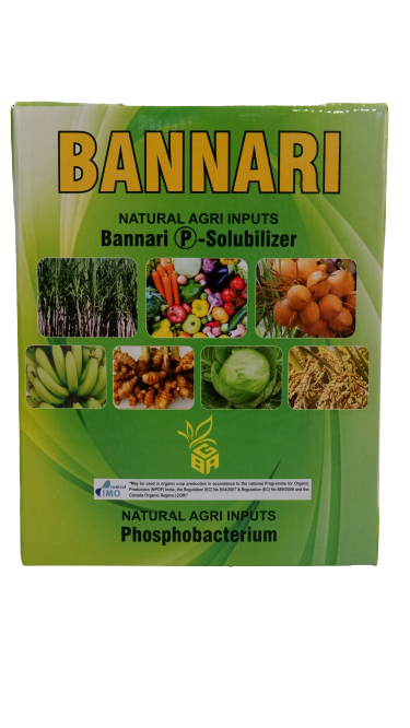 BANNARI P - SOLUBILIZER