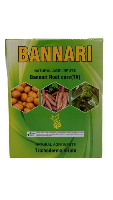 BANNARI ROOT CARE (TV)