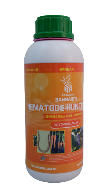 NEMATODE HUNTER (PC)