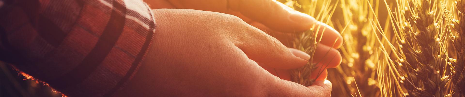 Testimonials background