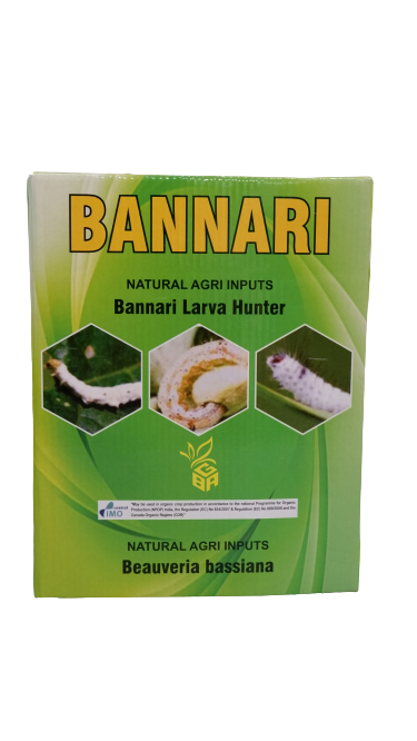BANNARI LARVA HUNTER