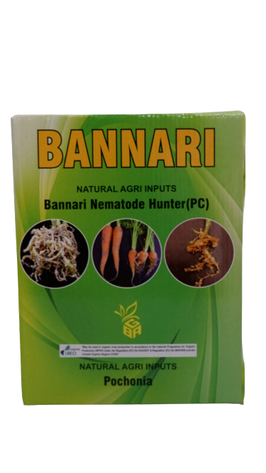BANNARI NEMATODE HUNTER (PC)