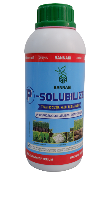 BANNARI P - SOLUBILIZER