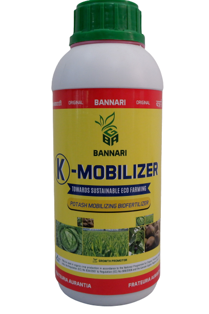 BANNARI K - MOBILIZER