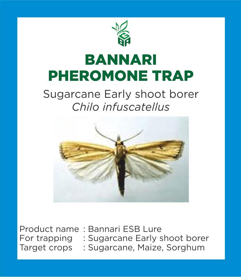 BANNARI PHEROMONE TRAP - SUGARCANE EARLY SHOOT BORER