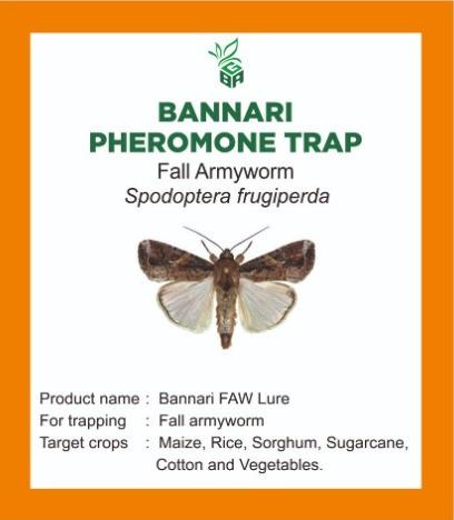 BANNARI PHEROMONE TRAP - FALL ARMY WORM