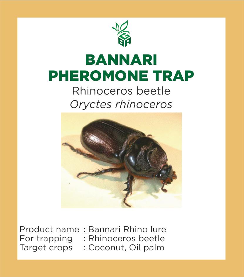 BANNARI PHEROMONE TRAP - RHINOCEROS BEETLE